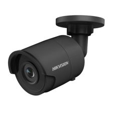 Сетевая IP камера Hikvision DS-2CD2043G0-I black (2.8)